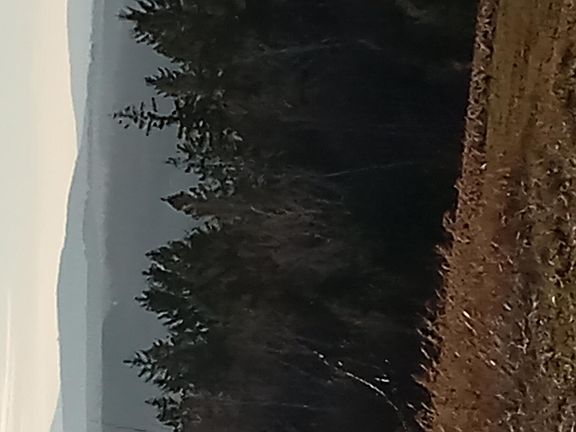 3rd image of AR105P4 Jemtland Road