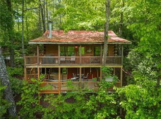 203 Mountain View Dr, Cherry Log, GA 30522