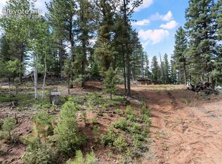 422 Spring Valley Dr, Divide, CO 80814