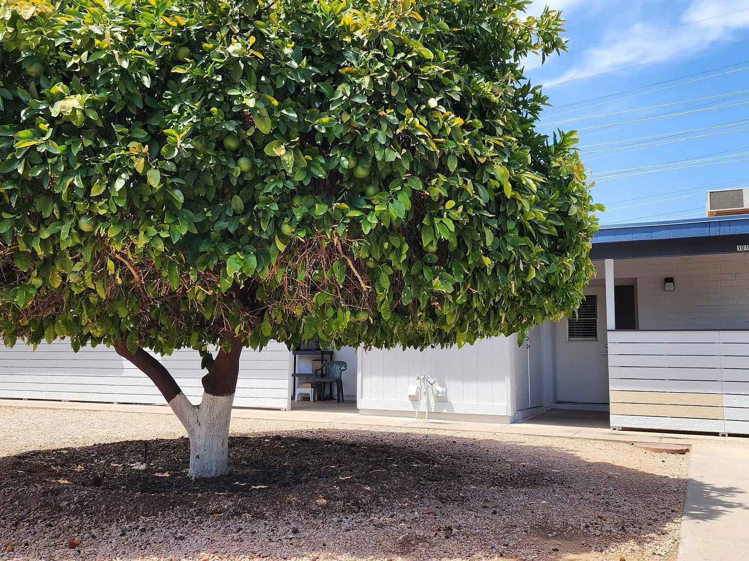 Suncourt — Photo 2