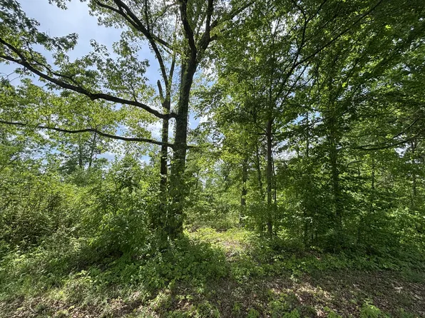 0 Joslin Branch Rd, White Bluff, TN 37187