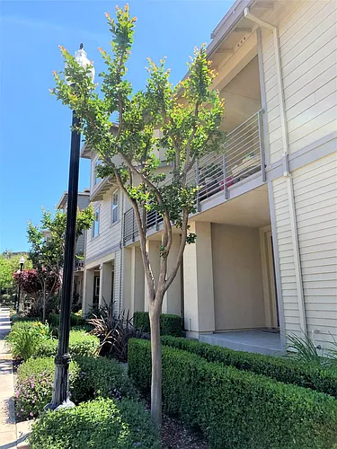 923 Sakura Dr Photo 1