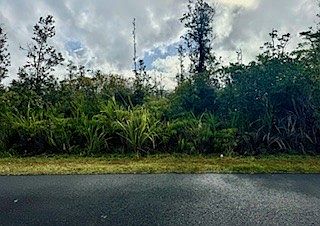 2nd image of Tree Fern Dr Lot 51