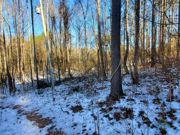 235 Len Mar Rd, Spring City, TN 37381