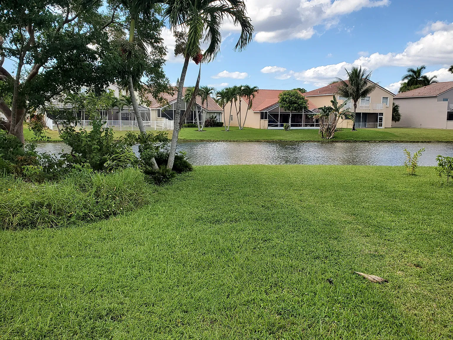 3 bed, 2384 sqft, $3,900 — Photo 3
