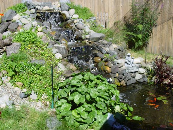 Water Garden
