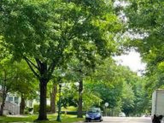 Exterior Neighborhood (street photo)