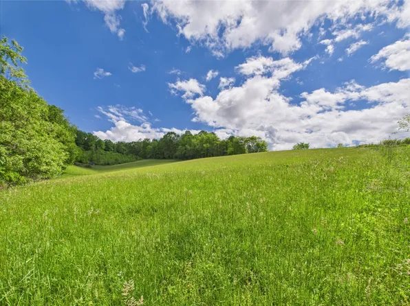 8927 Blackwell Chapel Rd, Meadowview, VA 24361