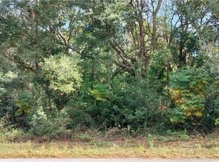 973 N Maynard Ave, Lecanto, FL 34461