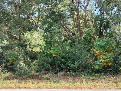 973 N Maynard Ave, Lecanto, FL, 34461