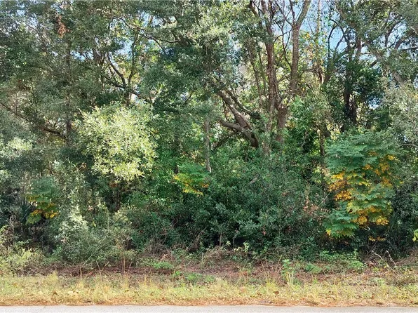 973 N Maynard Ave, Lecanto, FL 34461