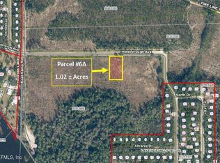PARCEL 6A E Hillsborough Ave, Florahome, FL 32140