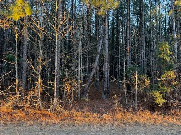 5th image of 1398 Mauldin Road