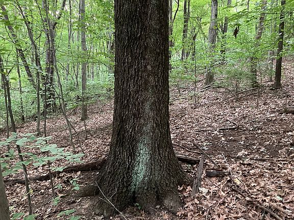 5th image of 18970 Township Road 284 Lot Wp 001