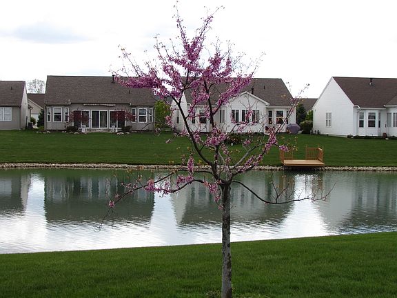 2nd image of 7149 Tarpon Bay Ct