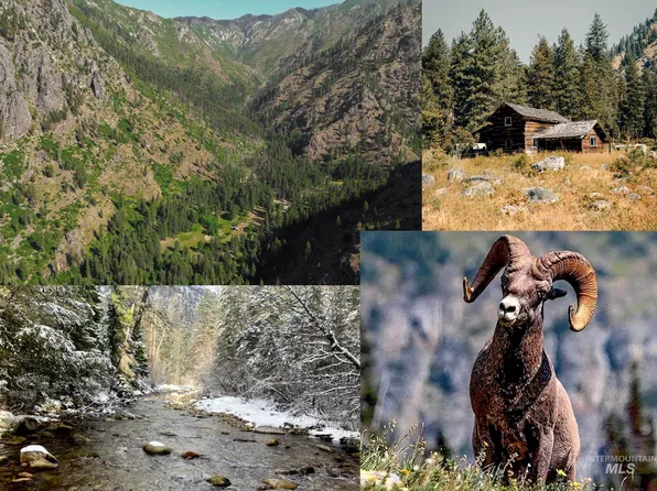 3869 Big Salmon Rd, Riggins, ID 83549