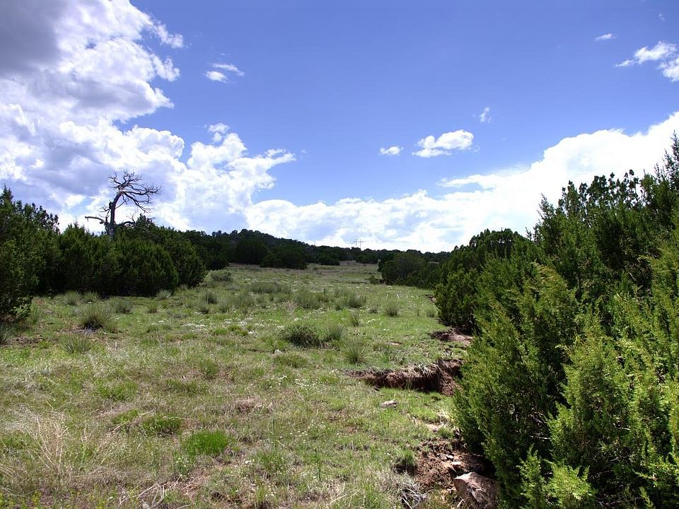 1st image of 42 Acres On Cr #340