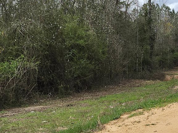 4th image of 0 County Road 495 #1