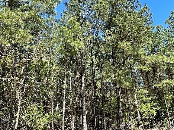 2nd image of 399 Camp Ranch Rd #91