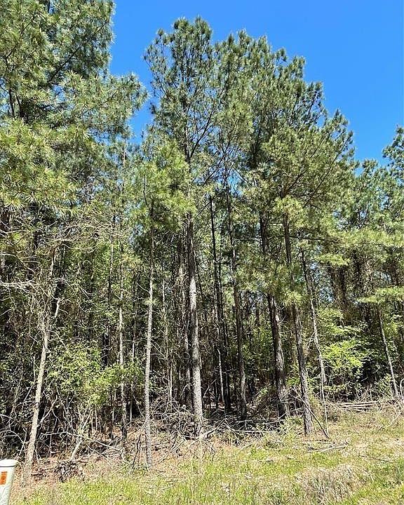 1st image of 399 Camp Ranch Road
