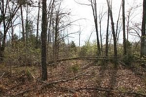 1st image of LOT 10 E Persimmon Point