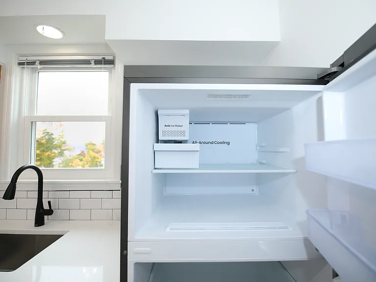 Auto ice-maker!