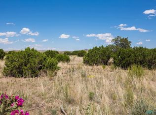 58 Pinon Springs Rd, Magdalena, NM 87825