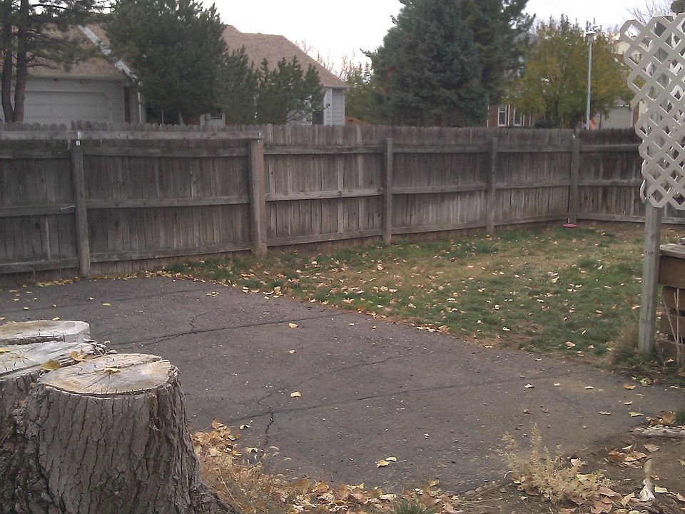 Yard next to RV drive