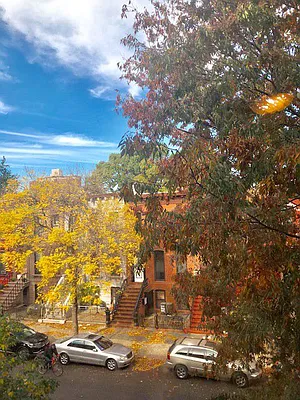 Rented by Nest Seekers International | media 25