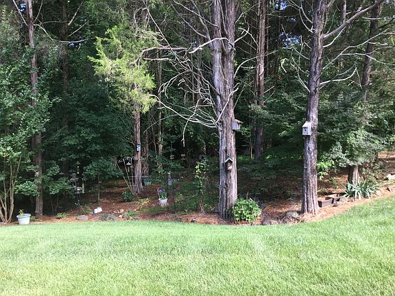 Back yard view