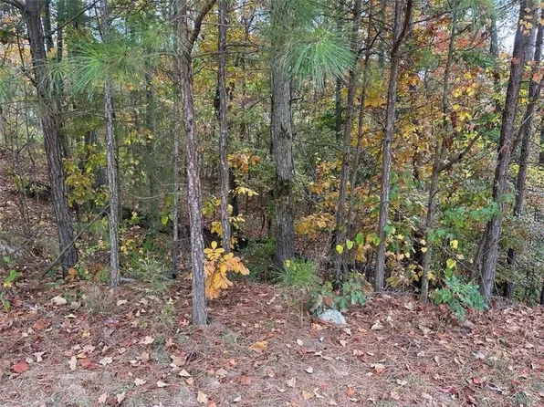 148 Spring Lake Trl #62, White, GA 30184