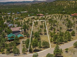 133 Charles McClellan Dr #4, Ruidoso, NM 88345