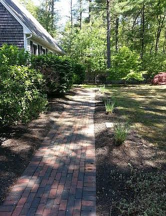 Front Yard 3