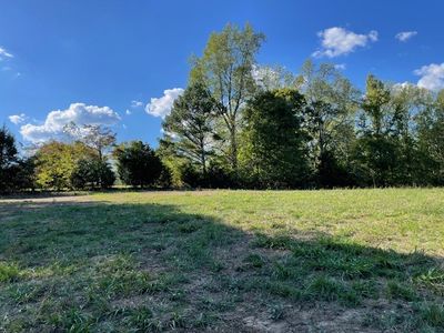 89 Shannon Rd, Leoma, TN, 38468
