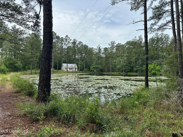 261 Tom Chance Rd, Poplarville, MS 39470