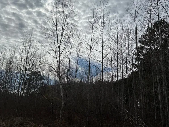 Kelly Dam Rd #4064-P, Tomahawk, WI 54487