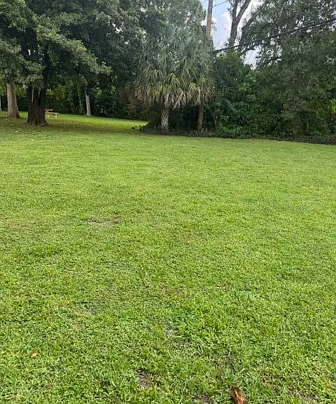 860 NW 65th Ave — Photo 30