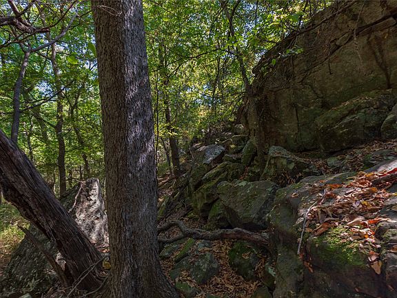 4th image of 1282 County Road 461