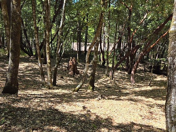 4th image of 1686 Ponderosa Road