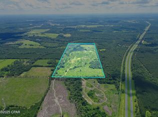 1 Eddie Blake Rd, Quincy, FL 32351