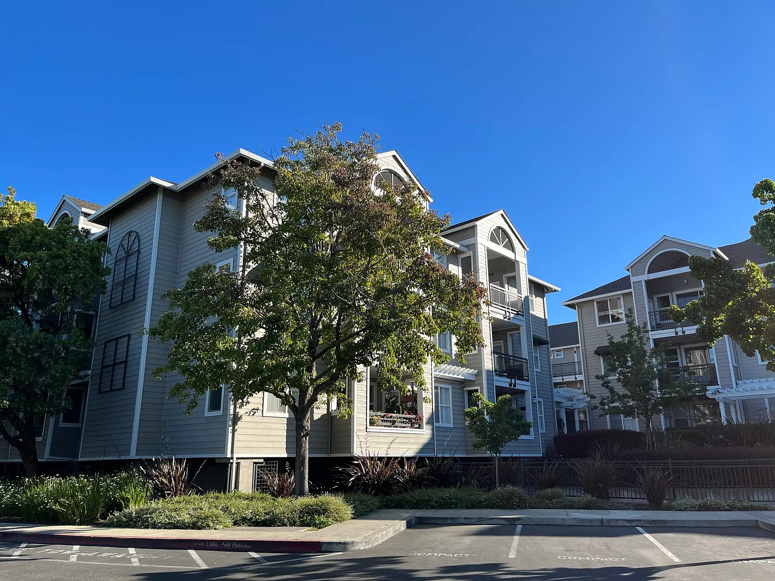 2 bed, 1157 sqft, $2,000 — Photo 2