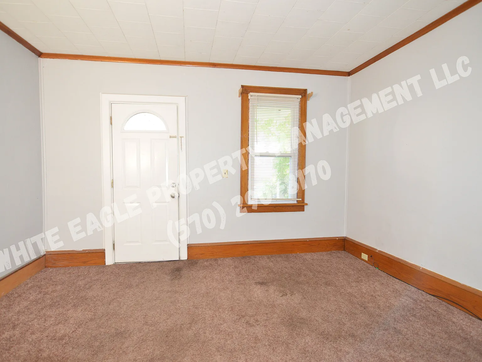 313 William St — Photo 4