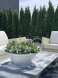 Rented by Abode Residential LLC