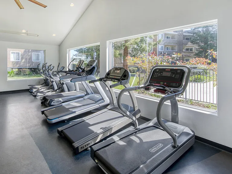 Serramonte Ridge — Photo 12