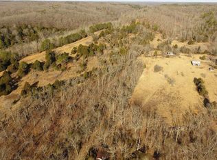 1341 Blue Creek Rd, Chadwick, MO 65629