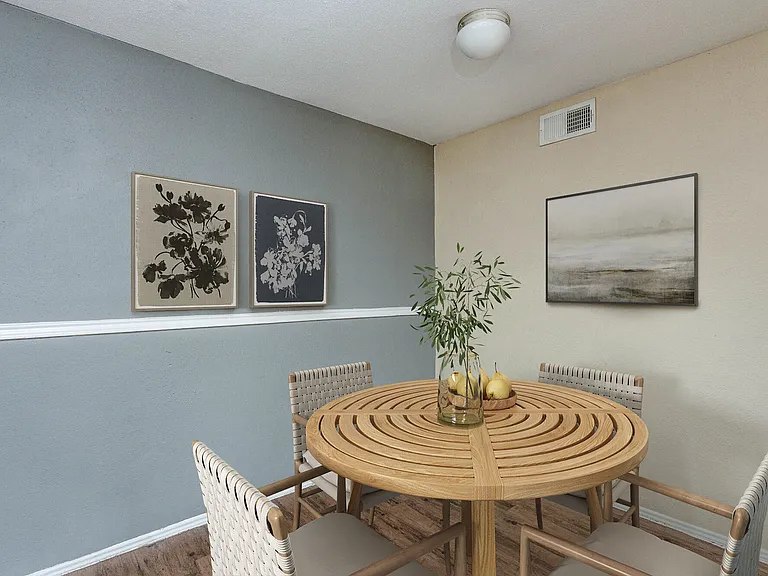 Valencia at Spring Branch — Photo 8