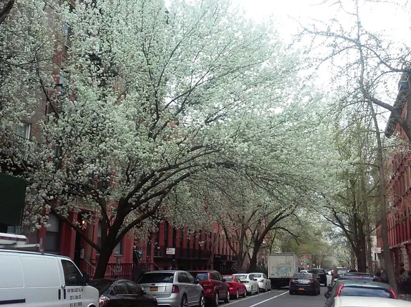 103 East 10th Street image 6 of 6