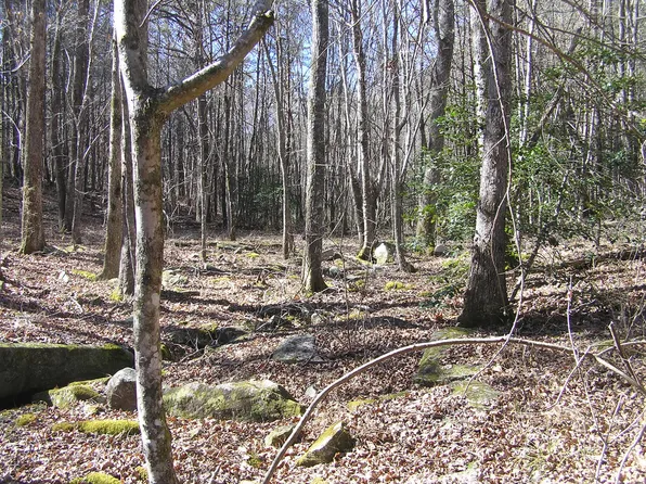 151C Indian Trails Dr #60, Spencer, TN 38585