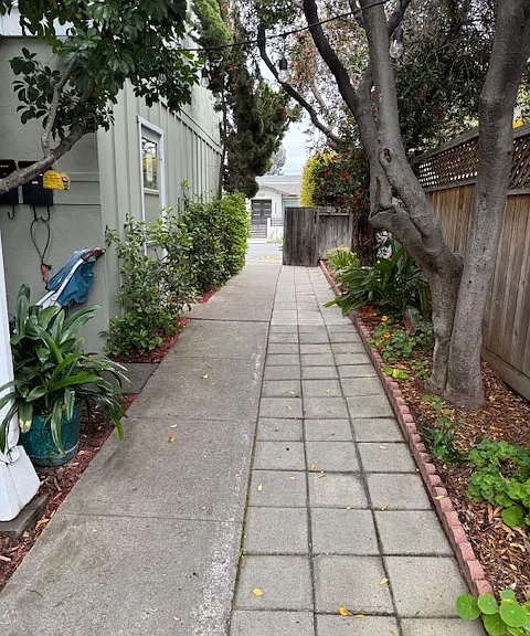 3219 Grim Ave — Photo 3