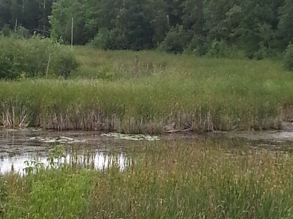 Xxxx County Road 18, Nevis, MN 56467 Zillow